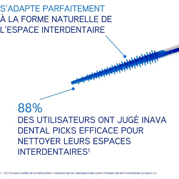Inava Dental Picks bâtonnets interdentaires