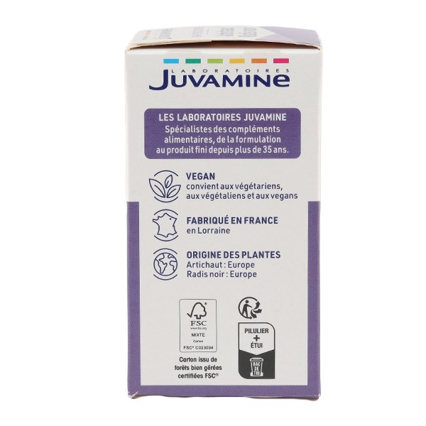 Juvamine Artichaut Radis noir gélules