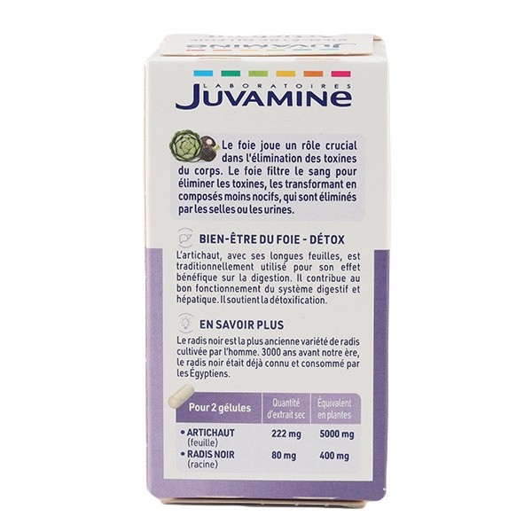 Juvamine Artichaut Radis noir gélules