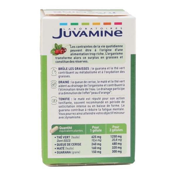 Juvamine Expert Minceur gélules