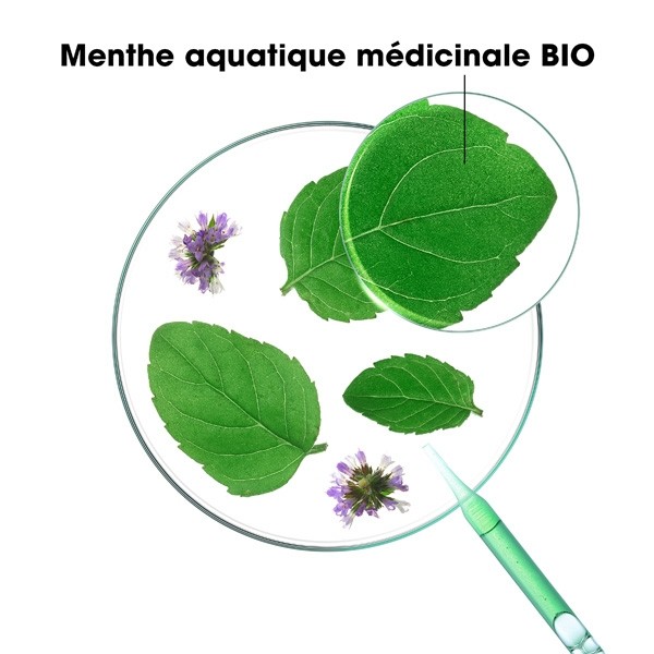 Klorane Shampooing Détox à la menthe aquatique Bio