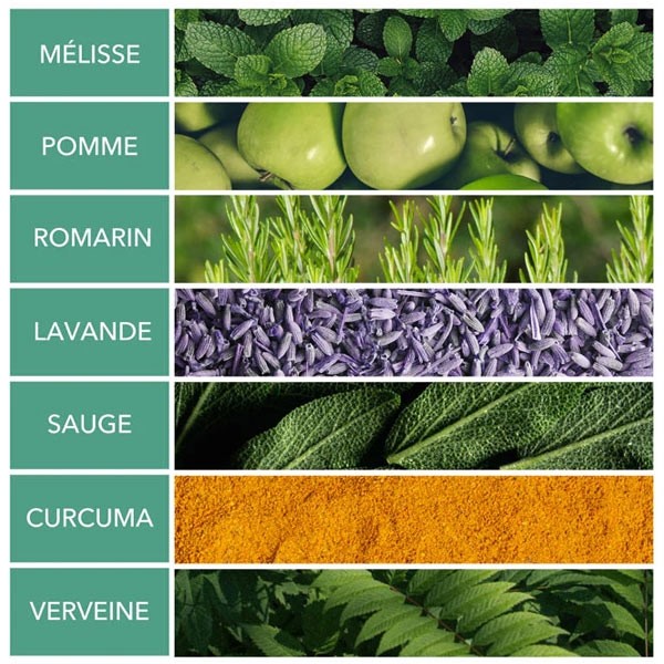 Krème Infusion bio digestion et peau saine