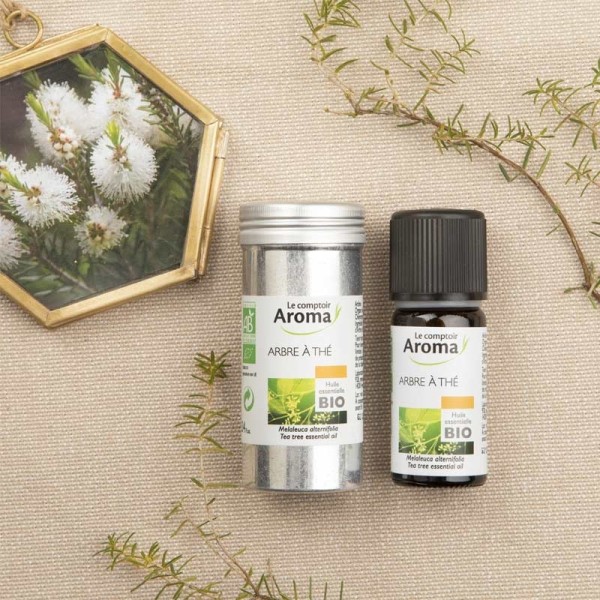 Le Comptoir Aroma huile essentielle d'Arbre à Thé bio
