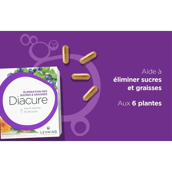 Lehning Diacure gélules