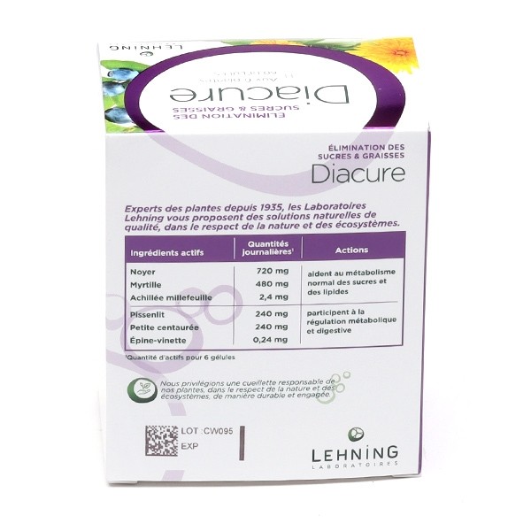 Lehning Diacure gélules