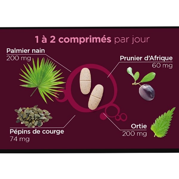 Lehning Prosta Resist comprimés