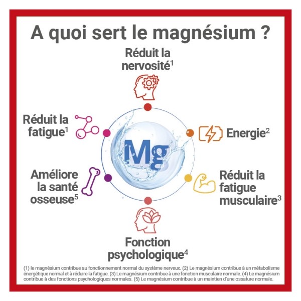 Mag 2 24h comprimés