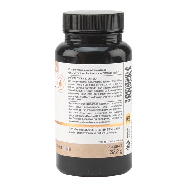 Nat et Form Multivitamin liposomal 500 mg gélules