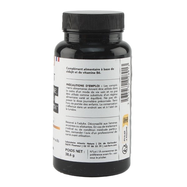 Nat et Form Shilajit gélules