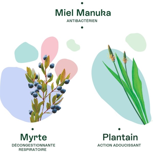 Naturactive sirop Toux