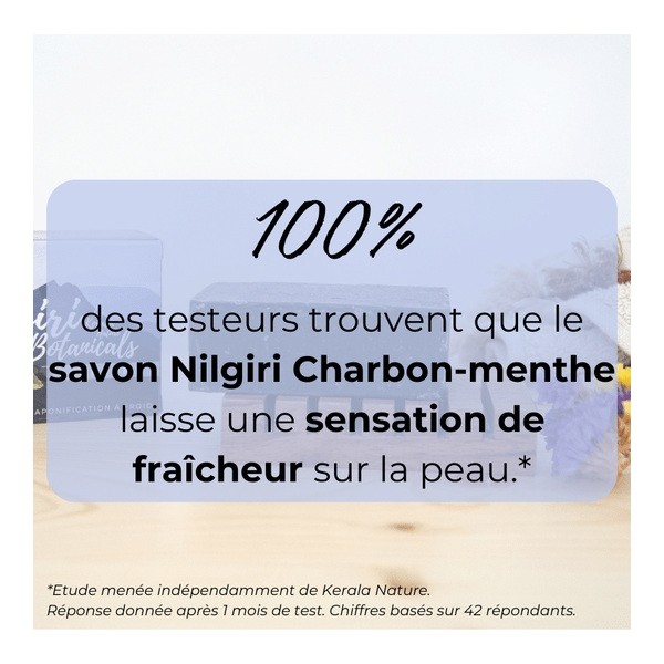 Savon artisanal Nilgiri Menthe Charbon