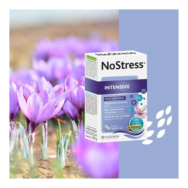 No stress Intensive gélules