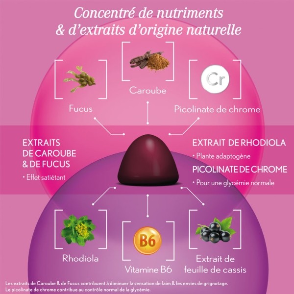 Oenobiol Gummies Minceur
