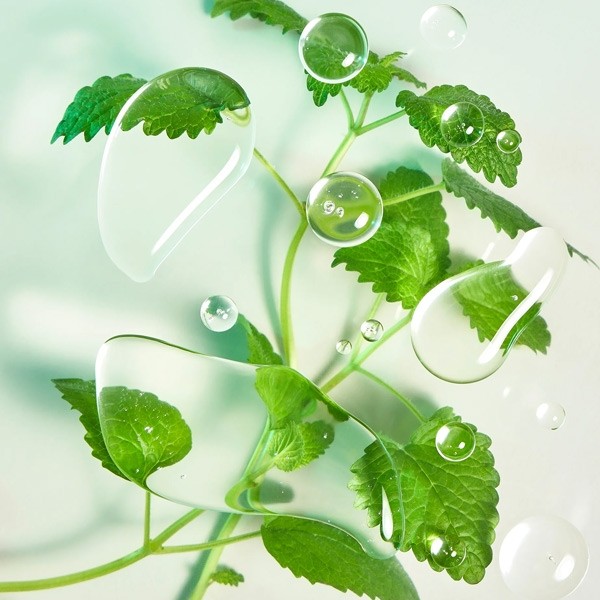 Patyka Pure soin ciblé stop boutons bio