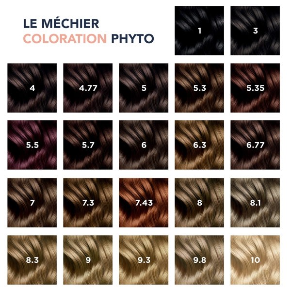 Phytocolor Kit Coloration permanente Blond foncé 6