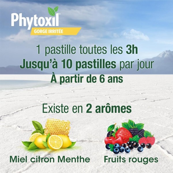 Phytoxil Gorge irritée pastilles miel citron