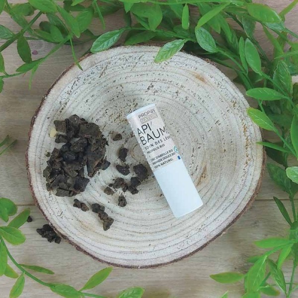 Propos Nature Api'Baume stick lèvres Bio