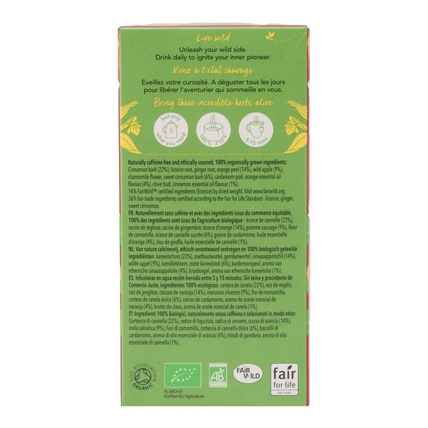 Pukka Tisane Pomme sauvage et cannelle biologique sachets