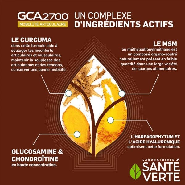 Santé Verte GCA 2700 comprimés