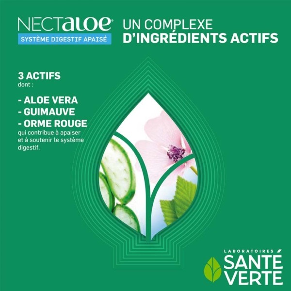 Santé Verte Nectaloe sticks