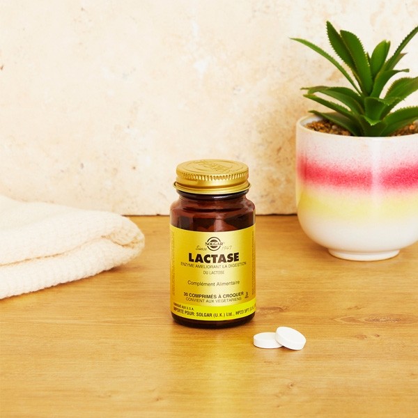 Solgar Lactase comprimés à croquer