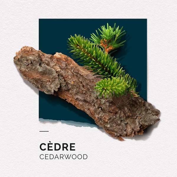 Solinotes Eau de parfum Cèdre