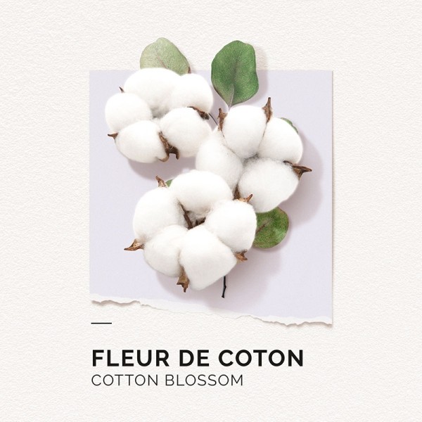 Solinotes Eau de Parfum Fleur de Coton