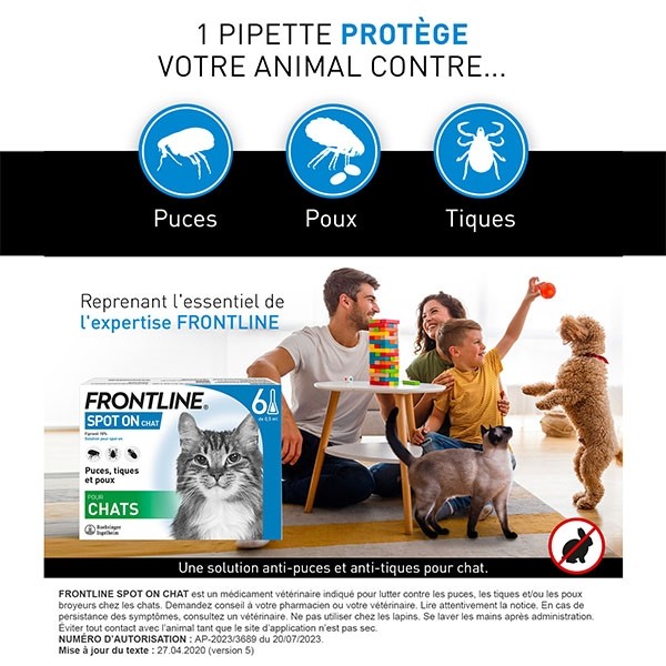 Frontline chat pipette anti puce