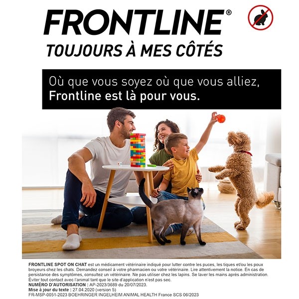 Frontline chat pipette anti puce