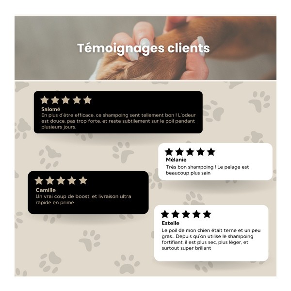 Bella Bestia Shampoing hydratant chien et chat