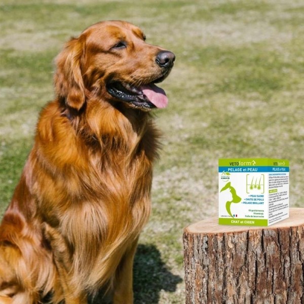 Vetoform pelage et peau