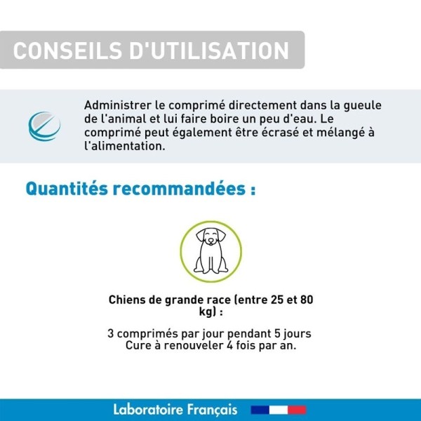 Vetoform Purge naturelle chien grande race comprimés