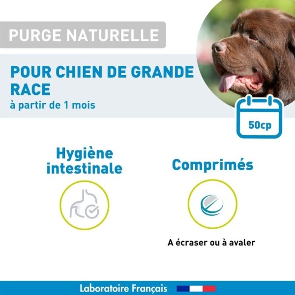 Vetoform Purge naturelle chien grande race comprimés