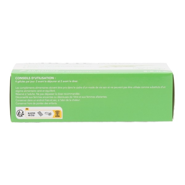 Vibtil Digest gélules Foie