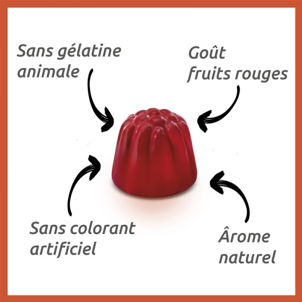 Vitascorbol Energie gummies