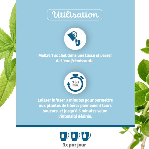 Bio Nutrisanté infusion Sommeil sachets