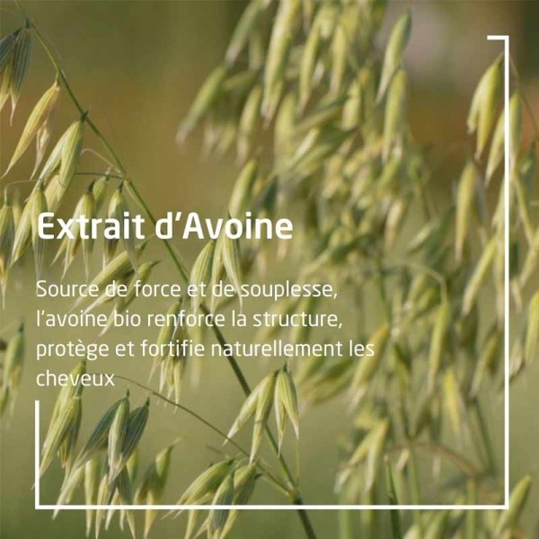 Weleda Avoine Shampooing régénérant