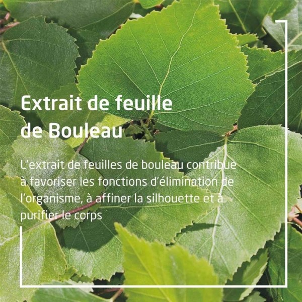 Weleda Bouleau Huile de massage minceur Bio