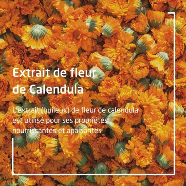 Weleda Calendula Savon végétal Bio