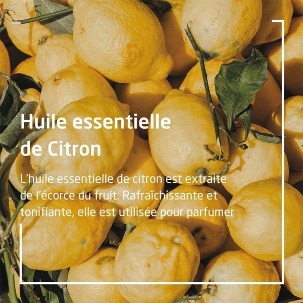 Weleda Citrus crème mains ongles nourrissante