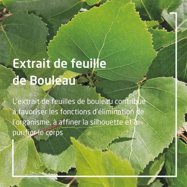 Weleda crème de douche gommante au Bouleau