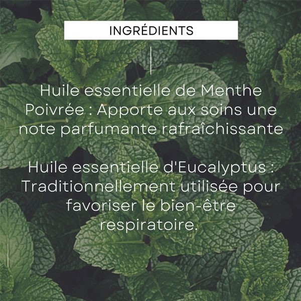 Weleda Déodorant stick 24h bio Eucalyptus Peppermint