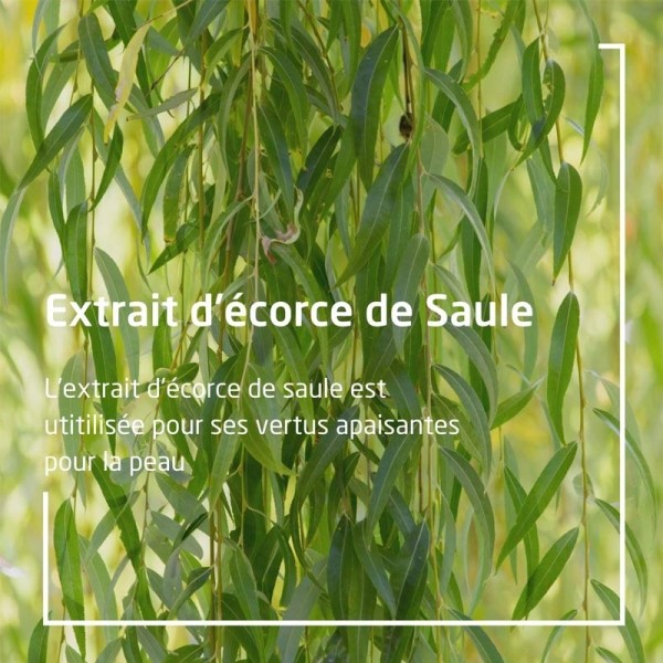 Weleda Gel nettoyant purifiant Bio