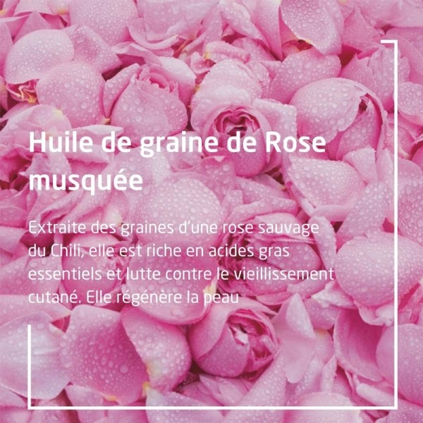 Weleda Huile harmonisante Rose musquée Bio