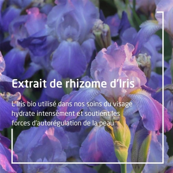 Weleda Iris crème de jour hydratante Bio