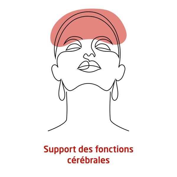 Weleda Mémoire et Concentration Gingko Bio