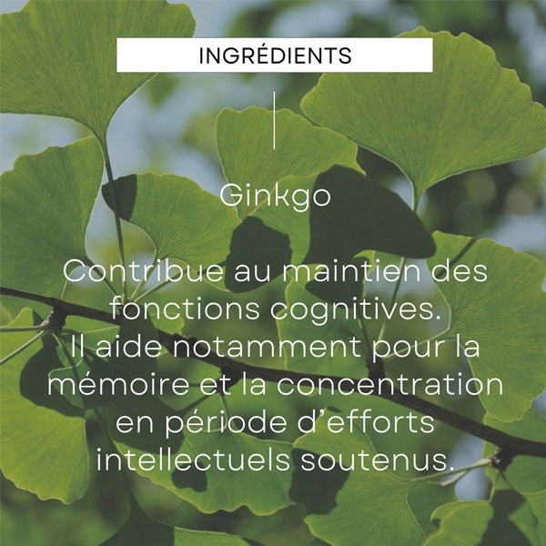 Weleda Mémoire et Concentration Gingko Bio