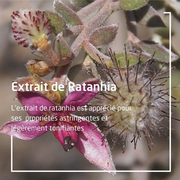 Weleda pâte dentifrice au Ratanhia bio