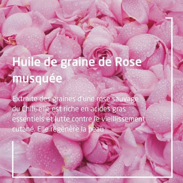 Weleda Rose Musquée lait corps satiné Bio