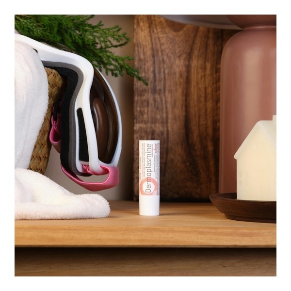 Boiron Dermoplasmine stick lèvres